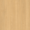 SALINA_OAK